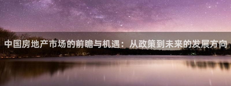 天狮娱乐 注：中国房地产市场的前瞻与机遇：从政策到未来的发展