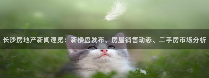 天狮娱乐平台登录：长沙房地产新闻速览：新楼盘发布、房屋销售动