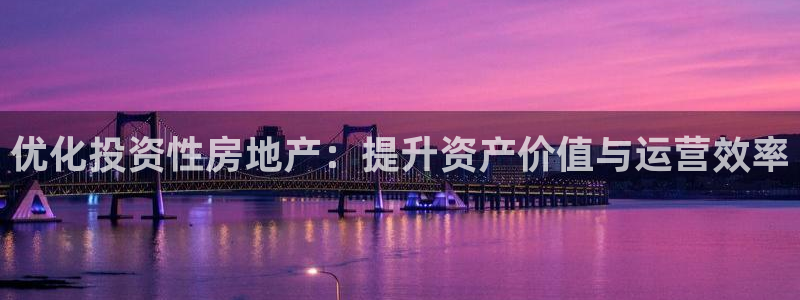 天狮娱乐 23976实z力：优化投资性房地产：提升资产价值与
