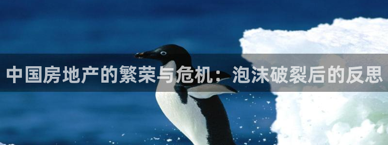 天狮娱乐主招商：中国房地产的繁荣与危机：泡沫破裂后的反思