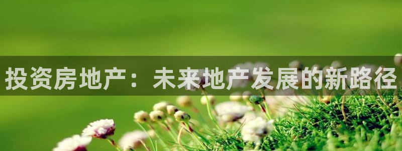 天狮娱乐来0 1311
