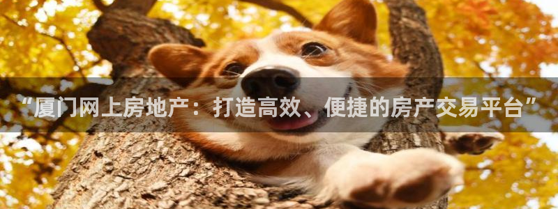 天狮娱乐彩票真假：“厦门网上房地产：打造高效、便捷的房产交易