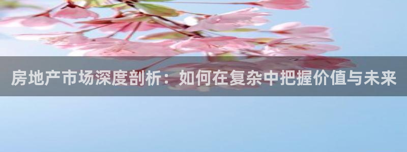 天狮娱乐妙言：房地产市场深度剖析：如何在复杂中把握价值与未来