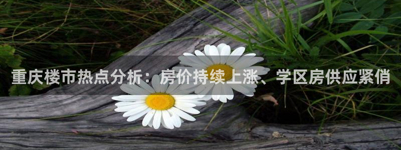 天狮娱乐卧j主管60447：重庆楼市热点分析：房价持续上涨、