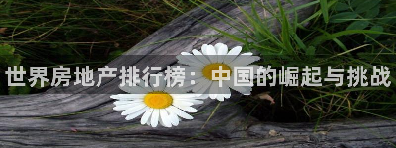 天狮娱乐主管汽车之家