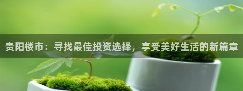 天狮娱乐60447股东