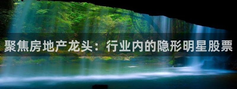 天狮娱乐登录：聚焦房地产龙头：行业内的隐形明星股票