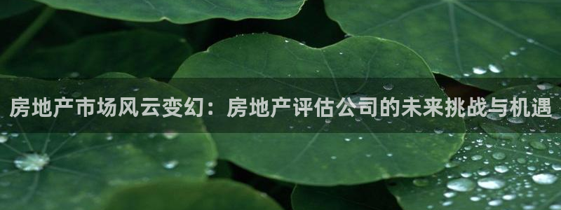 天狮娱乐代理找谁：房地产市场风云变幻：房地产评估公司的未来挑
