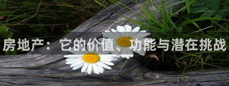 天狮娱乐平台注册官网：房地产：它的价值、功能与潜在挑战