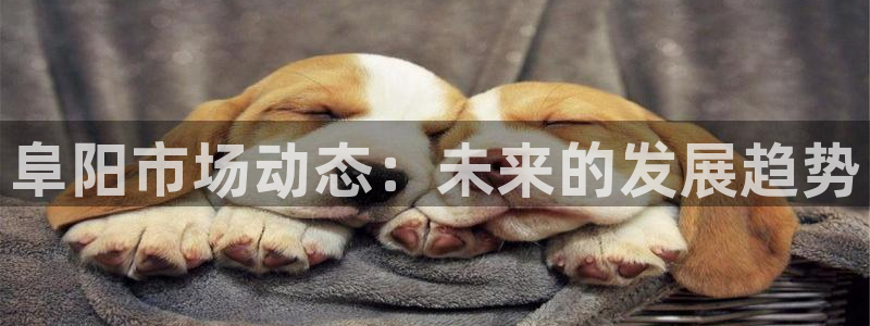 天狮娱乐负责人：阜阳市场动态：未来的发展趋势