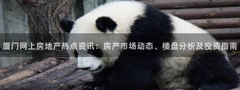 天狮学院娱乐设施