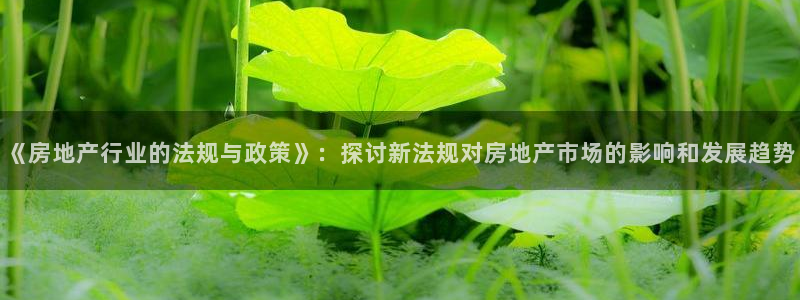 天狮娱乐-扣 股东：《房地产行业的法规与政策》：探讨新法规对