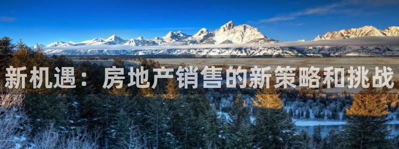 狮山天豪娱乐会所怎么样：新机遇：房地产销售的新策略和挑战