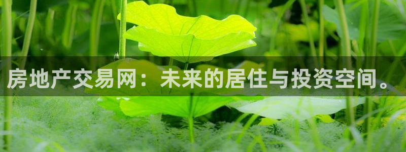 天狮娱乐官方代理：房地产交易网：未来的居住与投资空间。