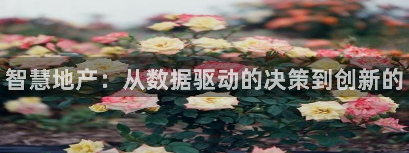 彩票天狮娱乐：智慧地产：从数据驱动的决策到创新的