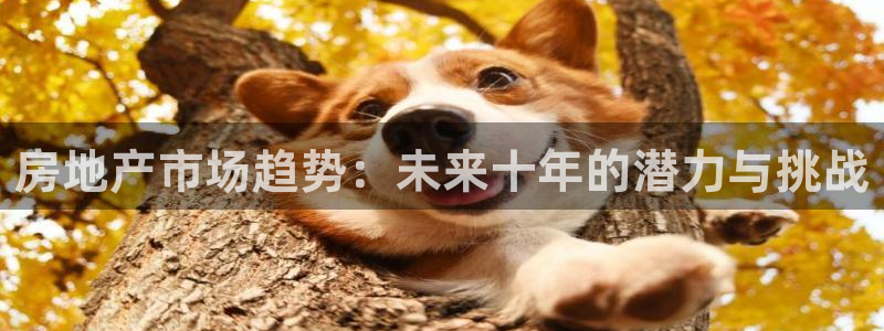 天狮娱乐推荐：房地产市场趋势：未来十年的潜力与挑战