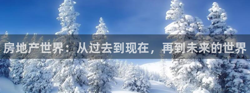 天狮娱乐提现不到账：房地产世界：从过去到现在，再到未来的世界
