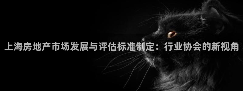 天狮娱乐注册官方网站：上海房地产市场发展与评估标准制定：行业