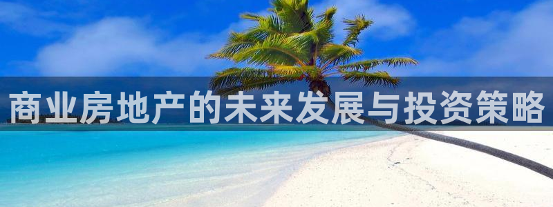天狮娱乐卧J招商60447：商业房地产的未来发展与投资策略