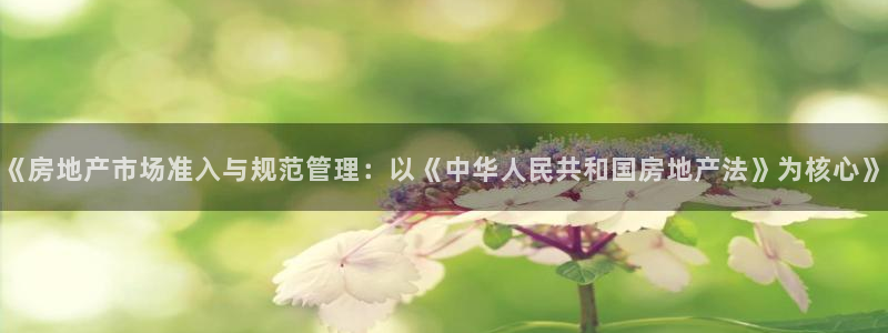 天狮娱乐代理找谁：《房地产市场准入与规范管理：以《中华人民共