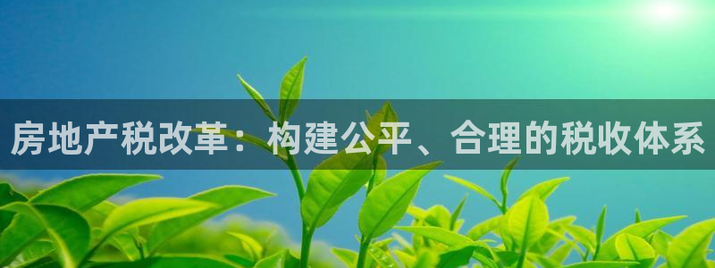 天狮娱乐如何注册代理：房地产税改革：构建公平、合理的税收体系