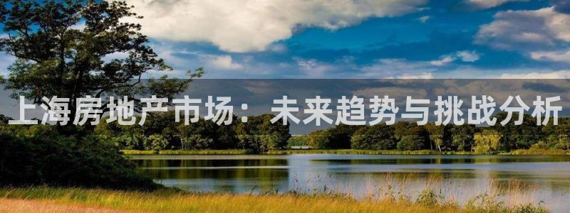 天狮娱乐股东主管：上海房地产市场：未来趋势与挑战分析
