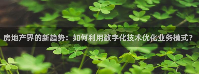天狮娱乐代理：房地产界的新趋势：如何利用数字化技术优化业务模