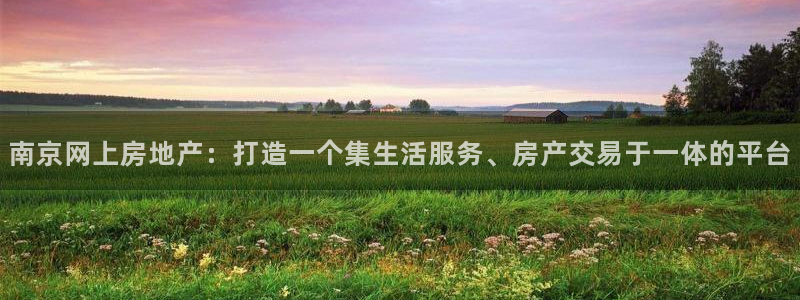 天狮娱乐招商：南京网上房地产：打造一个集生活服务、房产交易于