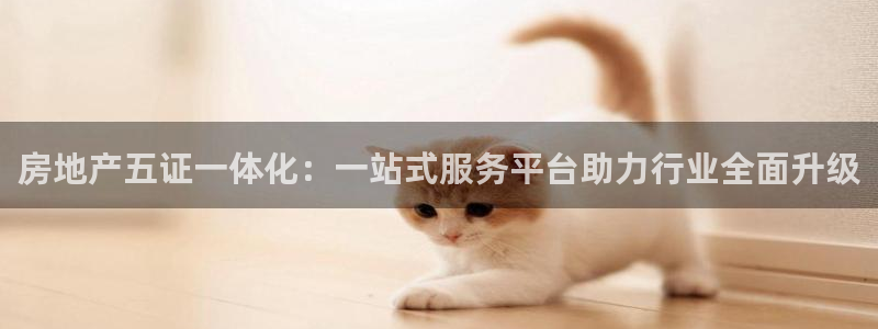 天狮娱乐挂机风险：房地产五证一体化：一站式服务平台助力行业全