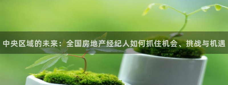 天狮娱乐招商主管：中央区域的未来：全国房地产经纪人如何抓住机