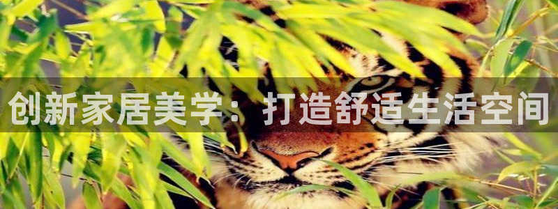 天狮娱乐真的吗：创新家居美学：打造舒适生活空间