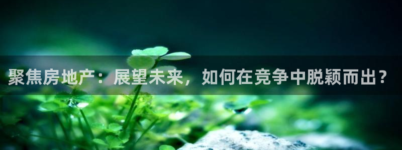 天狮娱乐最新版本：聚焦房地产：展望未来，如何在竞争中脱颖而出