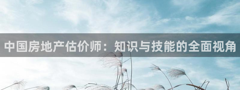 天狮娱乐用户名怎么起：中国房地产估价师：知识与技能的全面视角