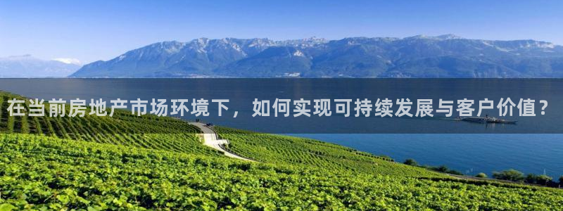 天狮娱乐 股31661东r：在当前房地产市场环境下，如何实现