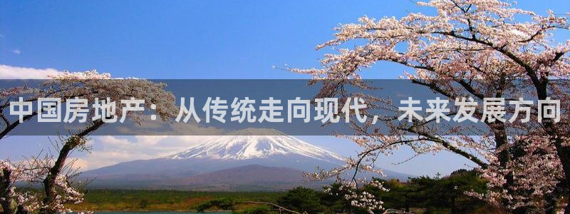 天狮娱乐运营57757：中国房地产：从传统走向现代，未来发展