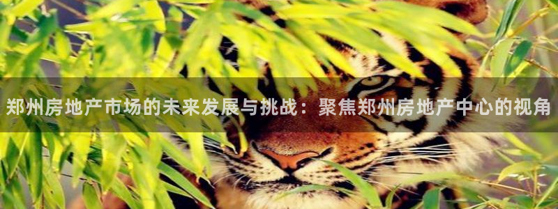 天狮娱乐 b内部61166：郑州房地产市场的未来发展与挑战：