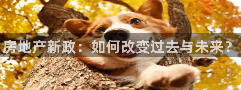 蓝狮娱乐招商天原判官333OO：房地产新政：如何改变过去与未