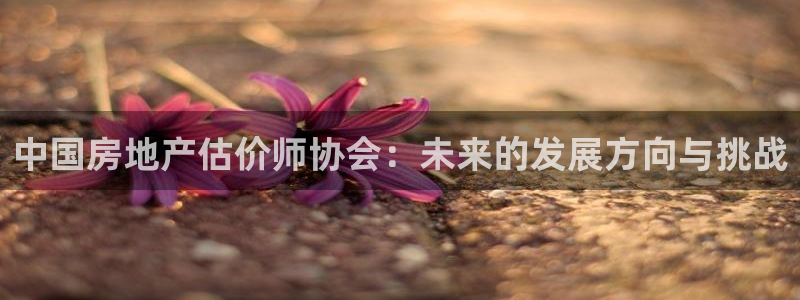 天狮娱乐c 判官：中国房地产估价师协会：未来的发展方向与挑战