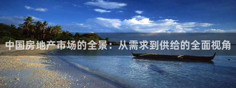 天狮娱乐会员：中国房地产市场的全景：从需求到供给的全面视角