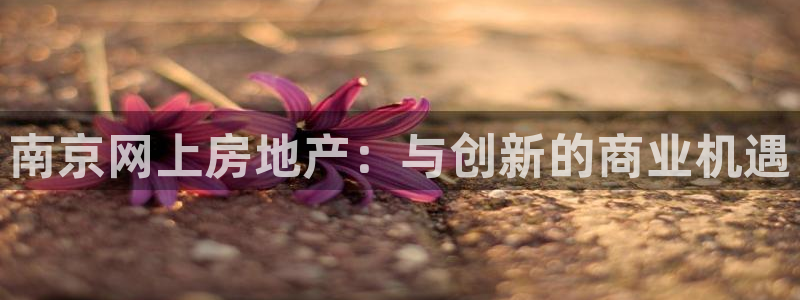 天狮娱乐炔wx15 net：南京网上房地产：与创新的商业机遇