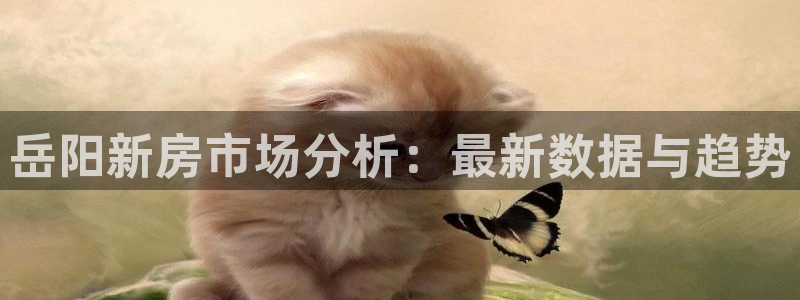 龙湖狮山天街苏州娱乐：岳阳新房市场分析：最新数据与趋势