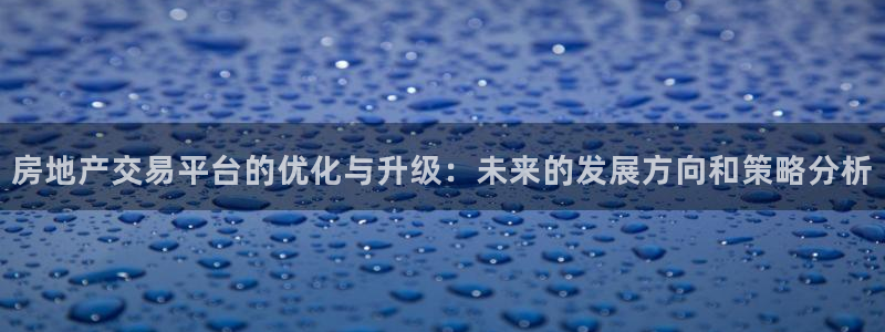 天狮娱乐i股t东64681：房地产交易平台的优化与升级：未来