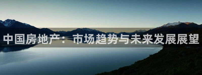 天狮娱乐是什么东西：中国房地产：市场趋势与未来发展展望