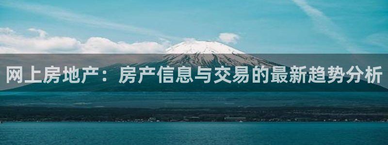 南京天狮娱乐会所：网上房地产：房产信息与交易的最新趋势分析