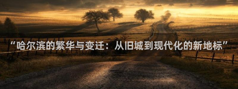 天狮娱乐反点啥意思：“哈尔滨的繁华与变迁：从旧城到现代化的新