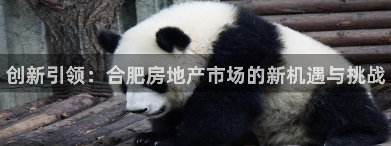 天狮娱乐 官方注册主管：创新引领：合肥房地产市场的新机遇与挑