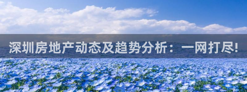 天狮娱乐手机挂机