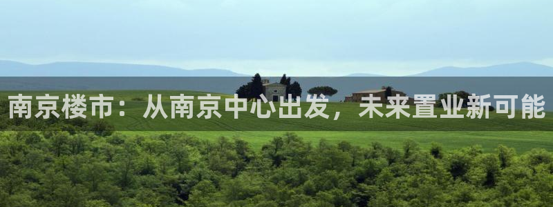 天狮娱乐扣72226：南京楼市：从南京中心出发，未来置业新可