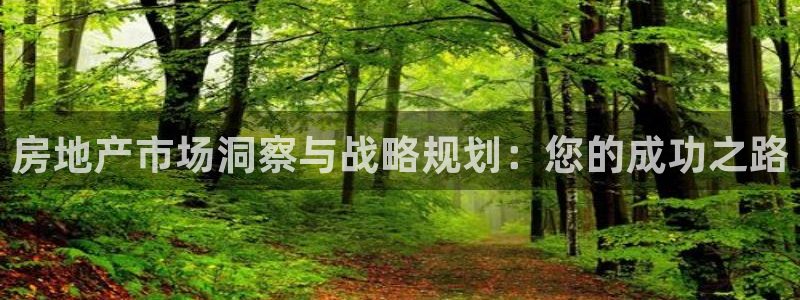 天狮娱乐平台是赌博吗：房地产市场洞察与战略规划：您的成功之路