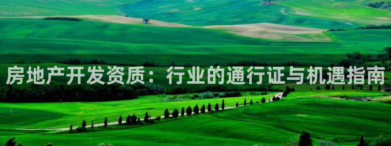 天狮娱乐怎么玩法：房地产开发资质：行业的通行证与机遇指南